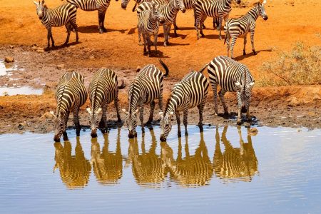 5-Day Amboseli National Park Safari
