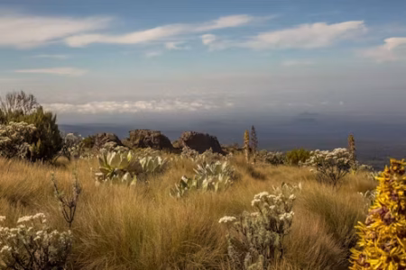 4 Days 3 Nights Mount Kenya Trekking | Sirimon – Chogoria Route